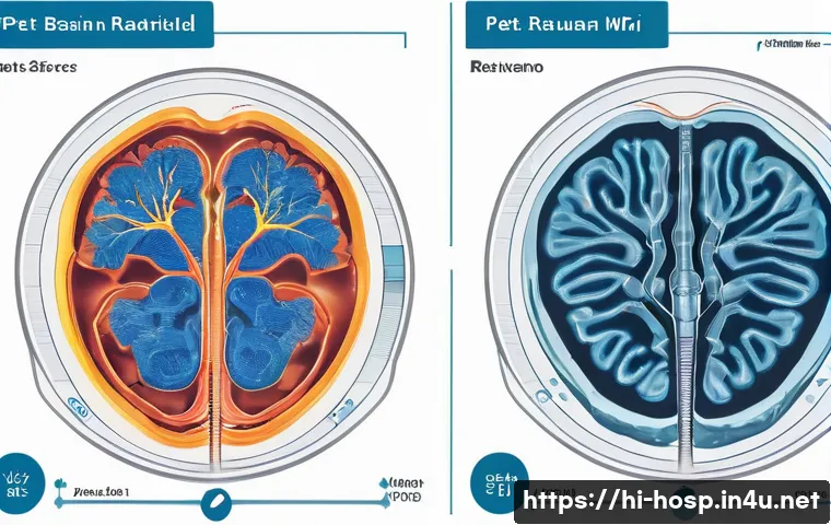 MRI와 PET CT 검사 비용 비교 관련 이미지 2
